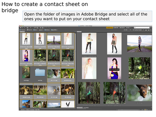 Photography Contact sheet on Adobe Bridge guide