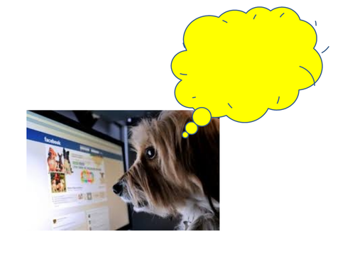 Comunicarse por internet