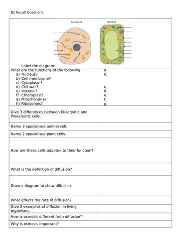 AQA Trilogy B1, B2, B3, B4 Recall Questions