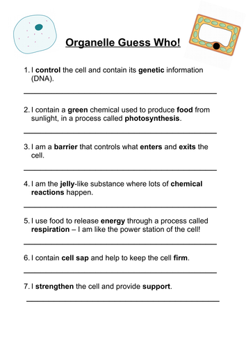 Organelle 'Guess Who' Worksheet