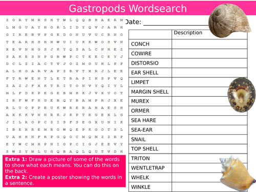 Gastropods Wordsearch Animals Nature The Sea Starter Settler Activity Homework Cover Lesson