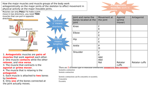 AQA GCSE PE 2016 GRADES 9-1 muscles and movement