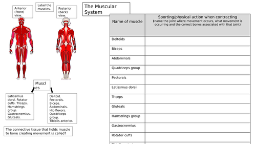 AQA GCSE PE 2016 GRADES 9-1 Muscles