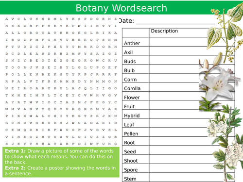 Botany Wordsearch Biology Science Starter Settler Activity Homework Cover Lesson