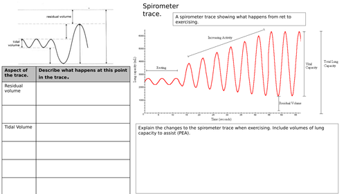 AQA GCSE PE 2016 GRADES 9-1 Spirometer trace.