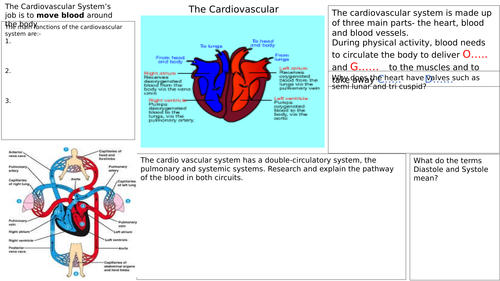 AQA GCSE PE 2016 GRADES 9-1 cardiovascular system