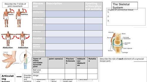 AQA GCSE PE 2016 GRADES 9-1 the skeletal system and movement