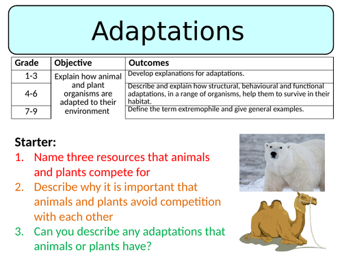 NEW AQA GCSE Trilogy (2016) Biology – Adaptations