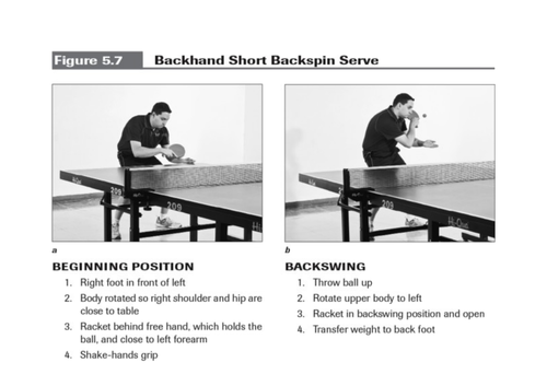 Table Tennis - 7 lessons