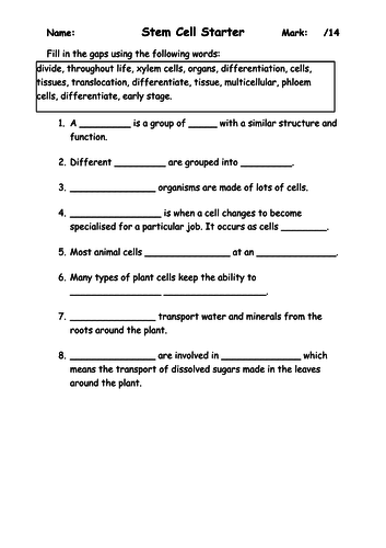 29 From Stem Cell To Any Cell Worksheet Answers - Free Worksheet