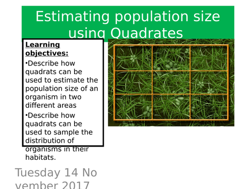 Quadrates and transects GCSE new spec