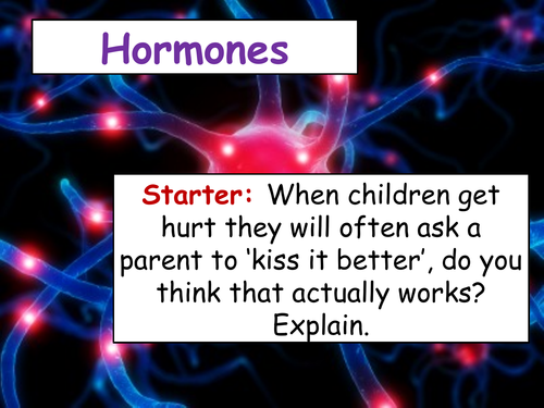 cB6a Hormones