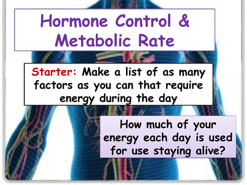 cB6b Hormone Control and Metabolic Rate
