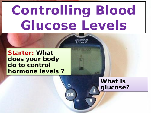 cB6e Controlling Blood Glucose Levels