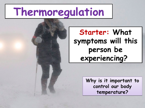 cB7g Thermoregulation (Separate Science)