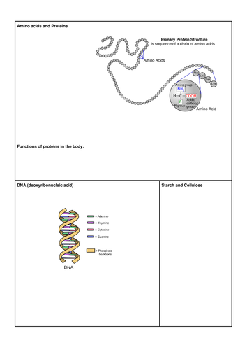 AQA GCSE Chemistry Organic Chemistry worksheets and activities