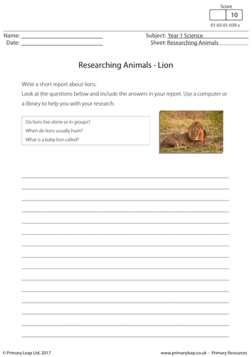Science Worksheet - Researching Animals: Lion