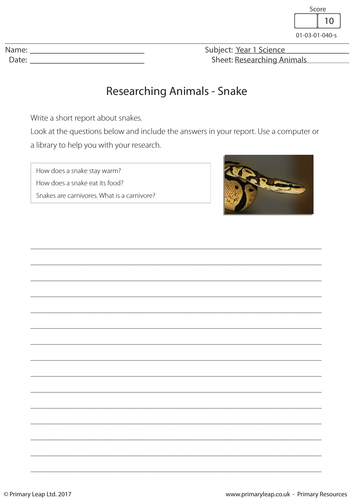 Science Worksheet - Researching Animals: Snake