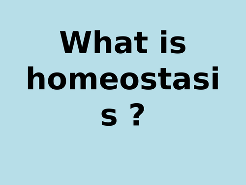 Homeostasis and Blood Sugar Levels