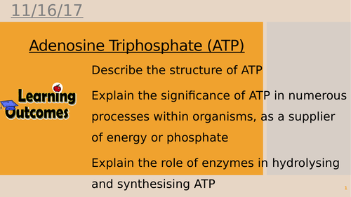 ATP - Structure and Function
