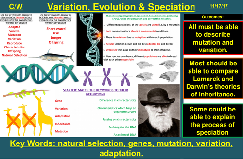 Variation, Evolution, Speciation, Natural Selection | AQA B2 4.6 | New Spec 9-1 (2018)