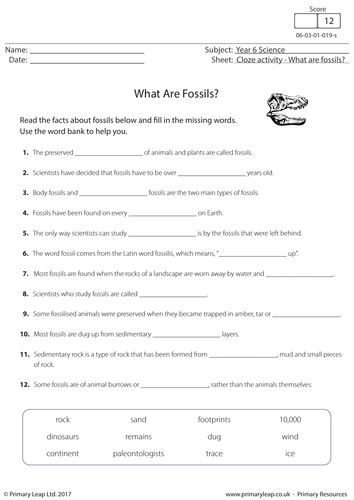 science-worksheets-for-grade-2-plants-parts-of-a-plant-worksheets-ks2