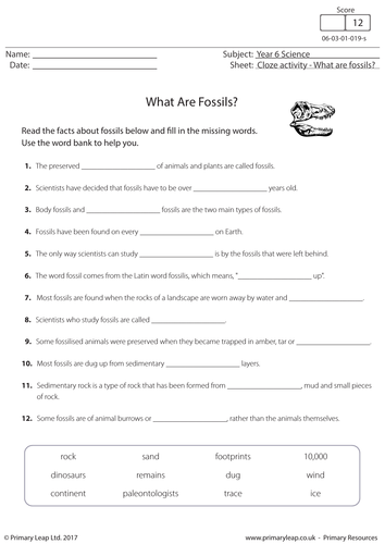 KS2 Science Worksheet - What are Fossils?