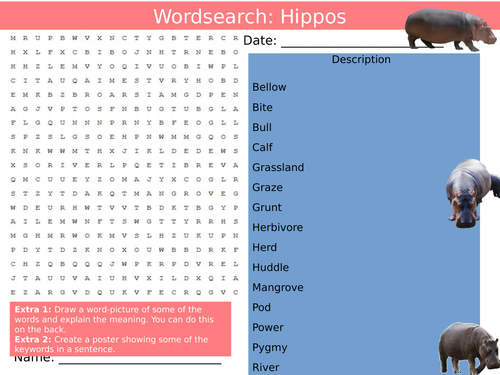 Hippo Animals Wordsearch Nature Hippopotamus Starter Settler Activity Homework Cover Lesson