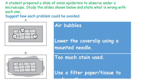 AQA Science Trilogy-B1 Revision lesson- Cell Structure and Transport