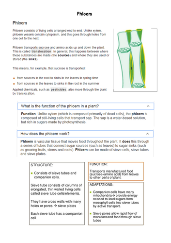 AQA 9-1 GCSE Science Trilogy, unit B1 (Cell Structure and Transport)-Specialised Cells