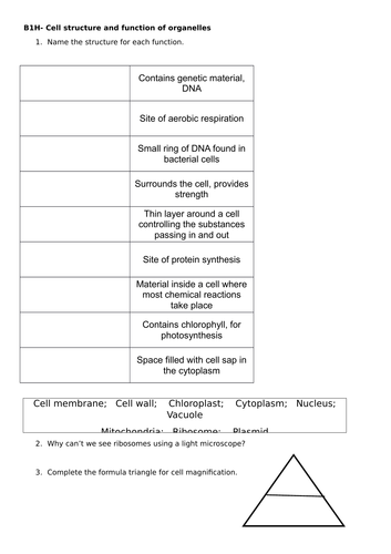 AQA 9-1 GCSE Science Trilogy, unit B1 (Cell Structure and Transport)- practice exam questions