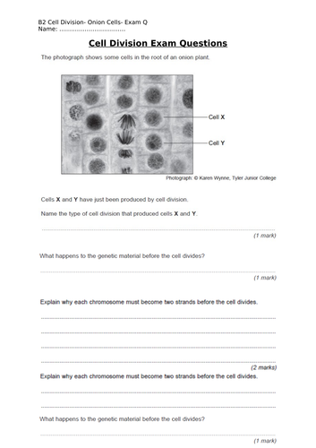 Practice exam questions for the AQA 9-1 GCSE Science Trilogy, unit B2 (Cell Division)