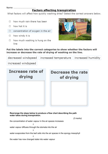 AQA Science Trilogy-Unit B4-worksheets on transpiration and tissues and organs in plants