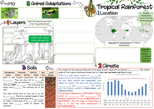 Aqa 9 1 Living World Tropical Rainforest Revision Sheets Teaching Resources 7060