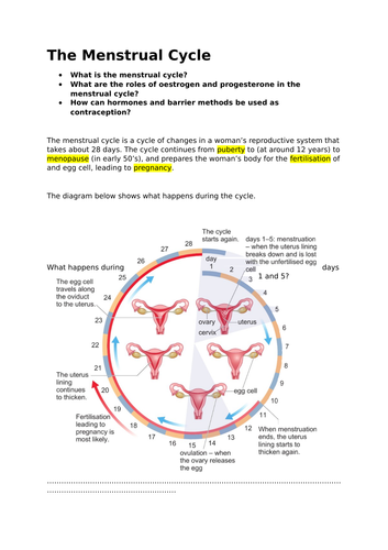 Menstrual Cycle Workbook