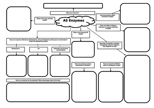 AS Biology Enzymes Revision Mat