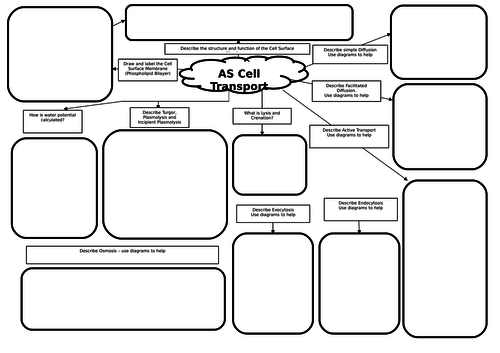 AS Biology Cell Transport Revision Mat
