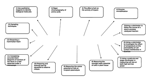 AS Biology Practicals Mind Map with answers
