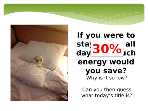 New GCSE - Homeostasis