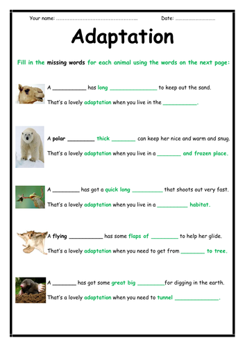 adaptation-activity-2-page-booklet-teaching-resources