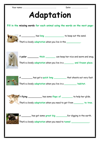 primary homework help animal adaptation