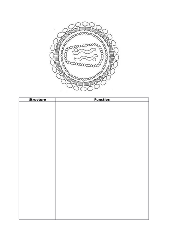 A-Level Topic 2.2.2 Viruses