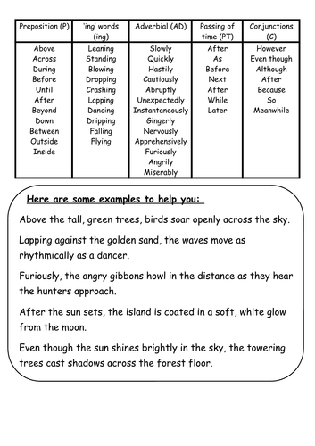 Wordbank with examples for Sentence openers.