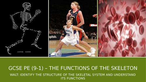 AQA GCSE PE (9-1) The Functions of the Skeleton Lesson Resources