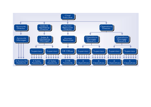 Level 3 BTEC Business Unit 1 Business Environment (P3 and P4) Business Organisation