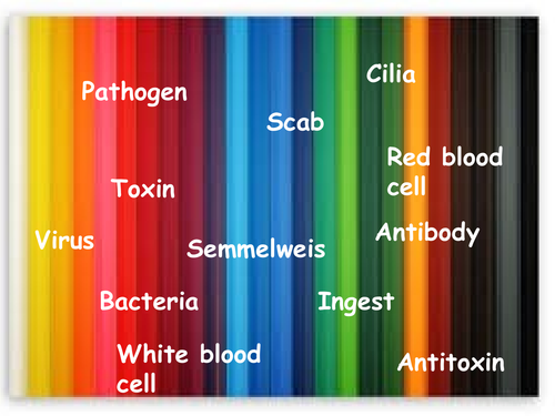 B6.2 Antibiotics and painkillers
