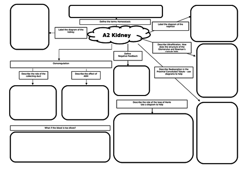 A2 Biology Homeostasis & Kidney Revision Mat