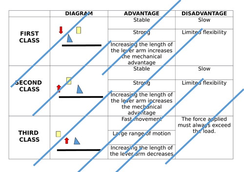 Levers in the Human Body- CARD SORT