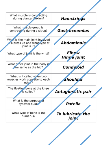 Joints Dominos Activity