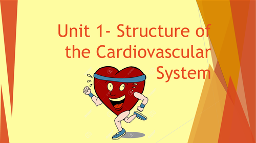The Cardiovascular System PowerPoint
